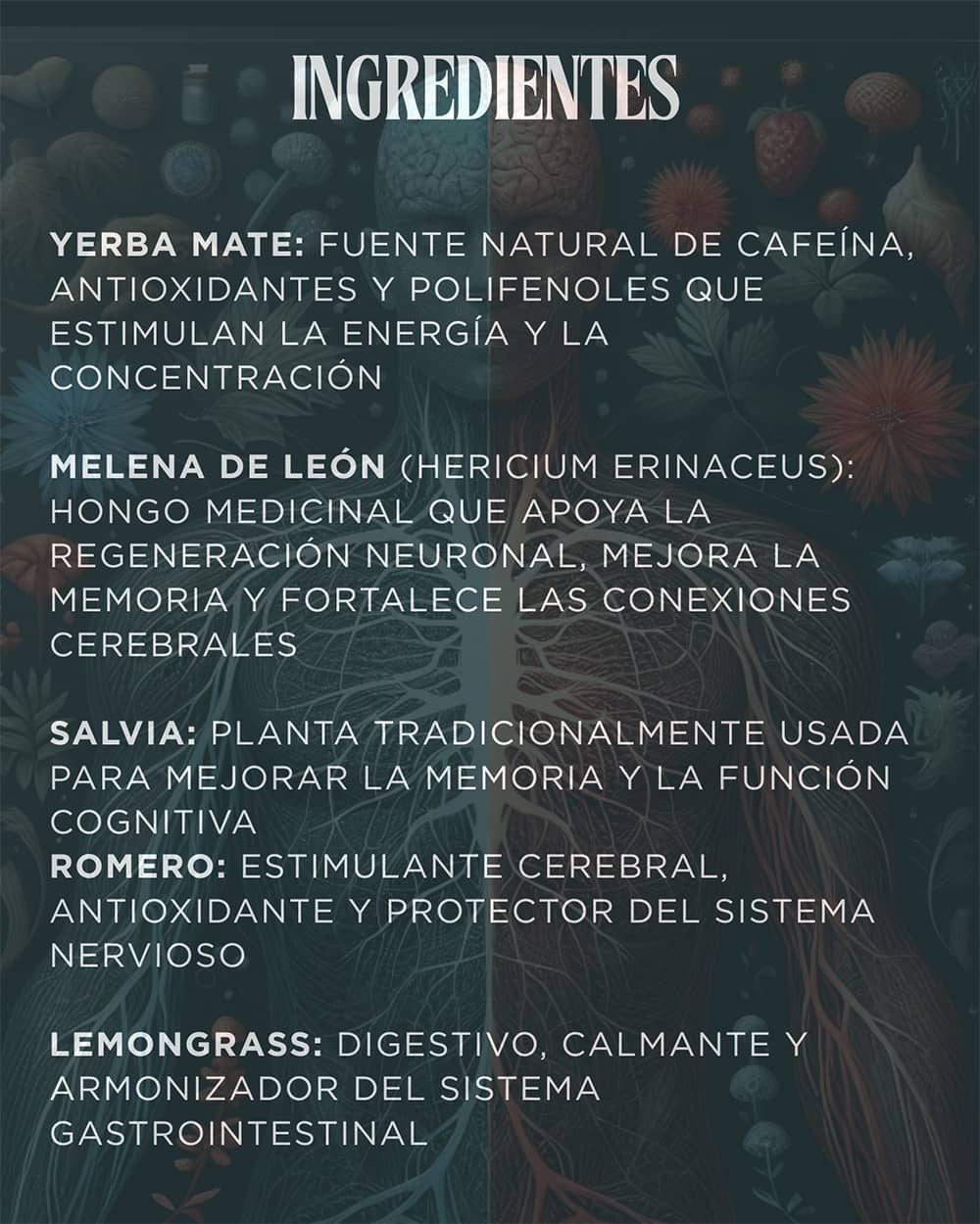 NeuroBlend - Yerba Mate para la mente y el intestino - Imagen 3